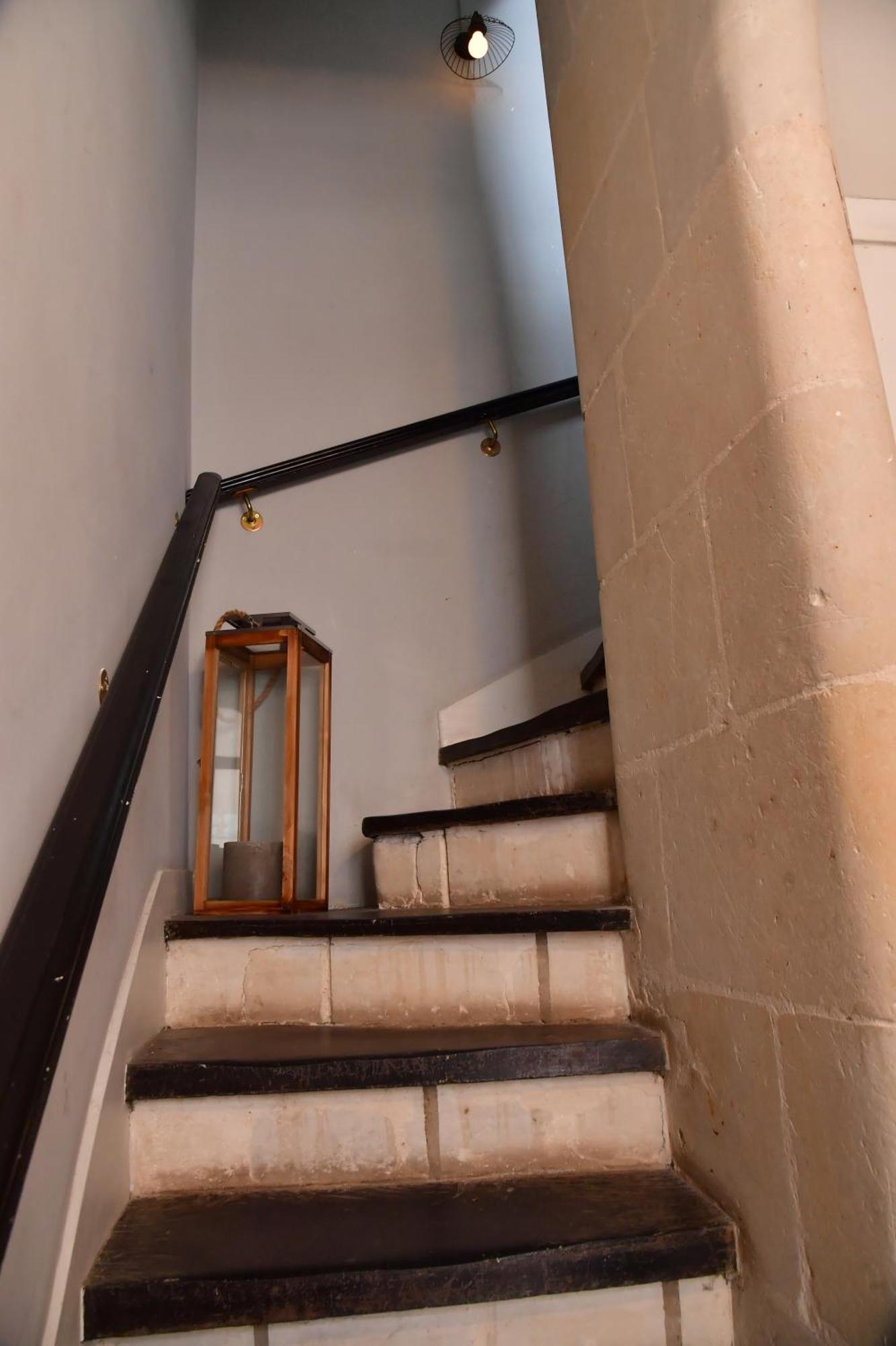 Les sternes de st Mathurin sur Loire , vue Loire Saint-Mathurin  Extérieur photo